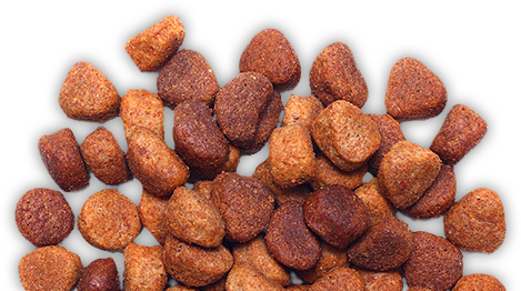 food-transparent-5